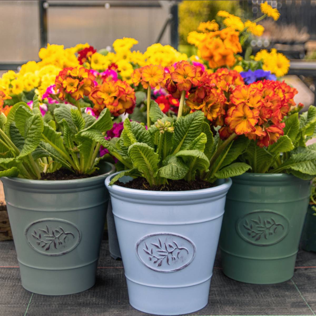 Outdoor Pots & Planters