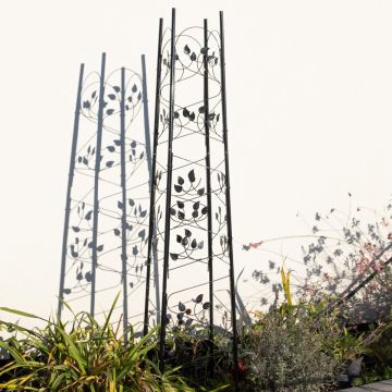 Botanical Garden Obelisk