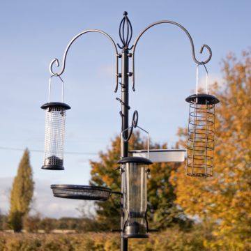 Bird Feeder Dining Station with 3 Feeders