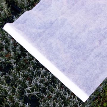 Extra Thick (30gsm) Frost Protection Blanket for plants (1m x 15m)