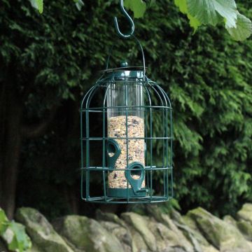 Seed Feeder with Squirrel Guard