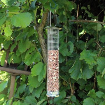 Large Deluxe Nut Feeder