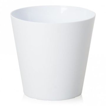 White Cover Pot for Indoor Banana Plant