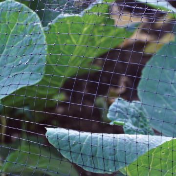 Garden Pond Netting - 4m x 2m