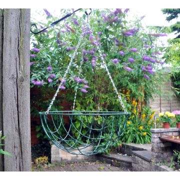 Hanging Basket - 16 inch