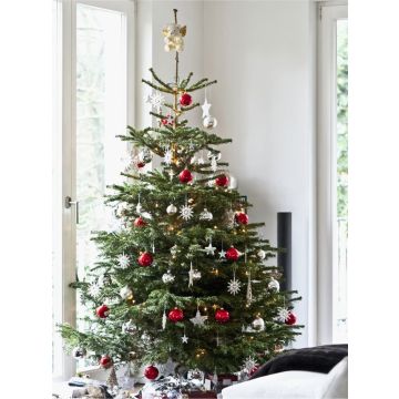 PRE-ORDER: Fresh Cut Non-Drop Luxury Nordmann Fir Christmas Tree (approx 7-8ft)  + Delivered 18th to 24 December +