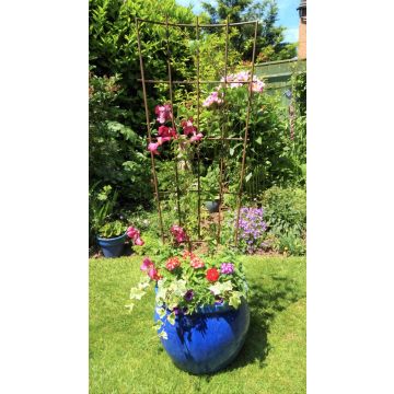 Pot Trellis - Large (148x50cm)