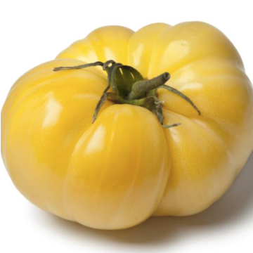 Tomato 'White Beauty'