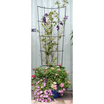 Pot Trellis - Medium (128x45cm)