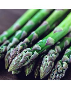 Asparagus - Mondeo