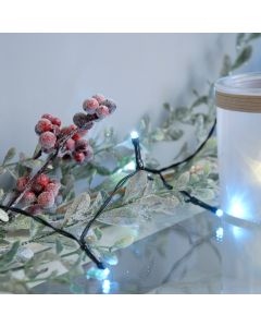 Christmas  Lights - 25 White Led Lights - Battery Operated