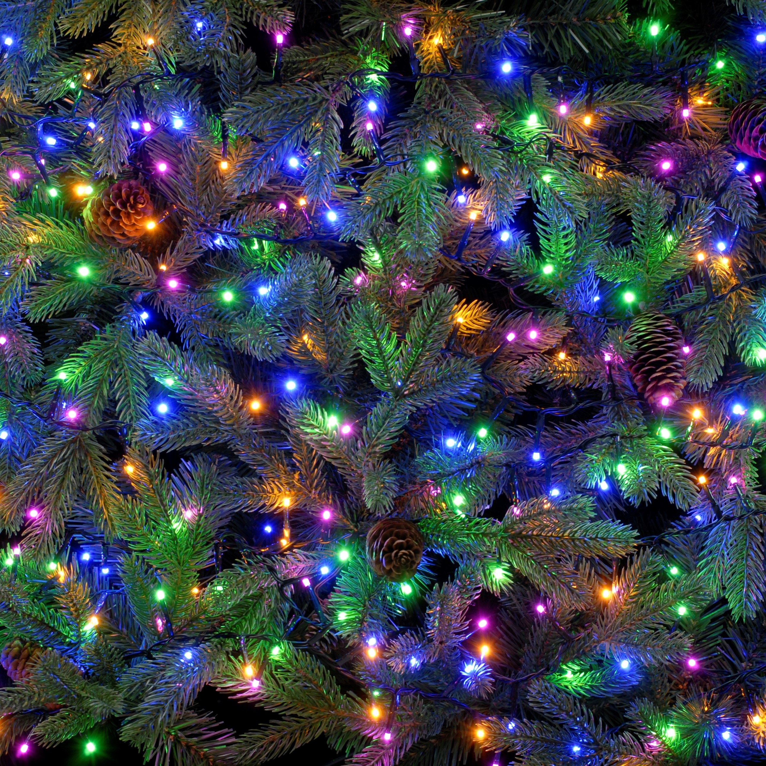 christmas tree with pastel lights