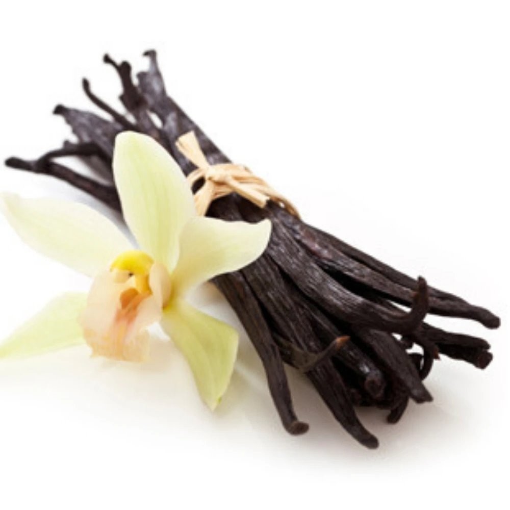 Vanilla Orchid Plant - Vanilla planifolia - Madagascar Vanilla Bean in ...